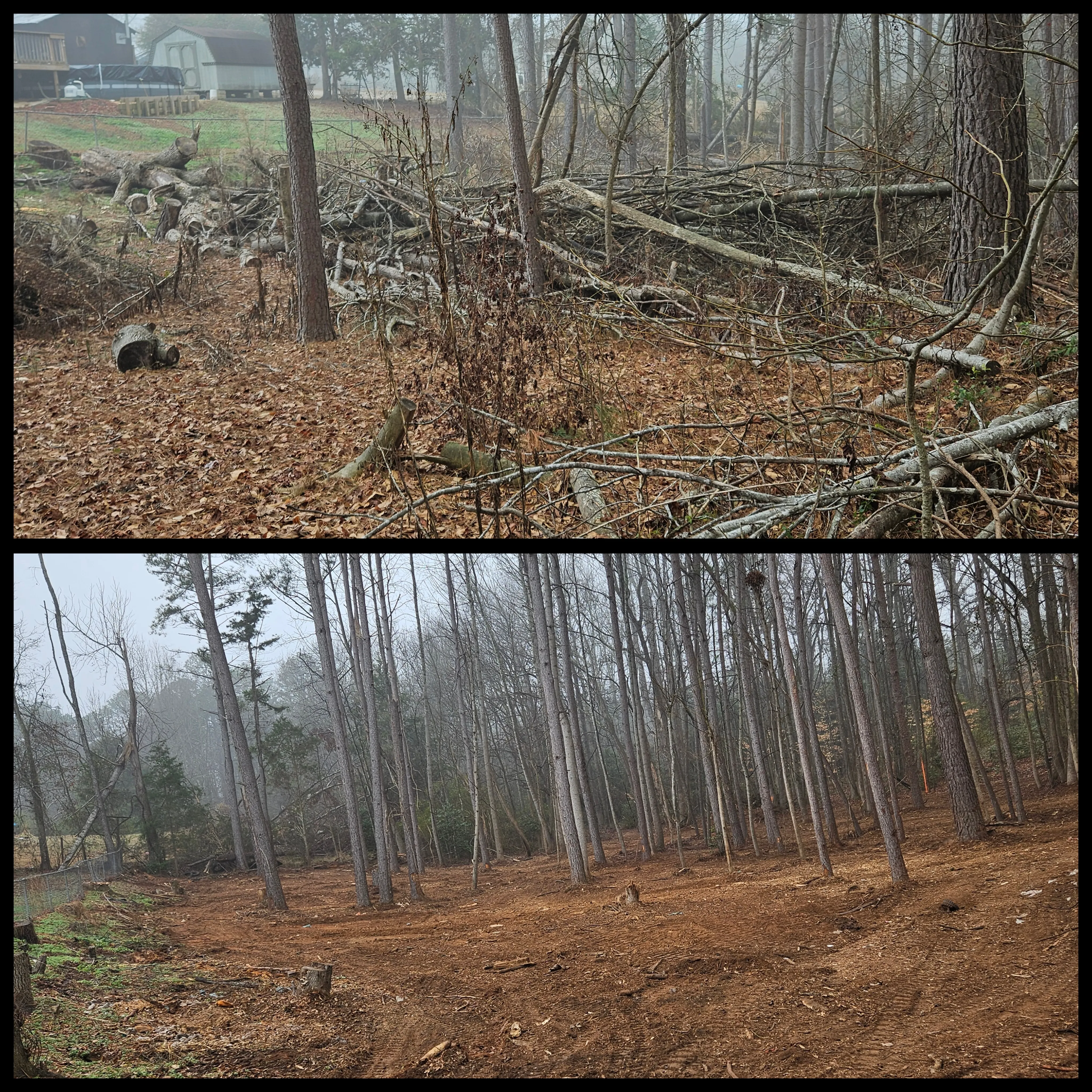 Before and after storm debris removal and forestry mulching on 2.5 acre property in Pickens SC by Fisher's Forestry