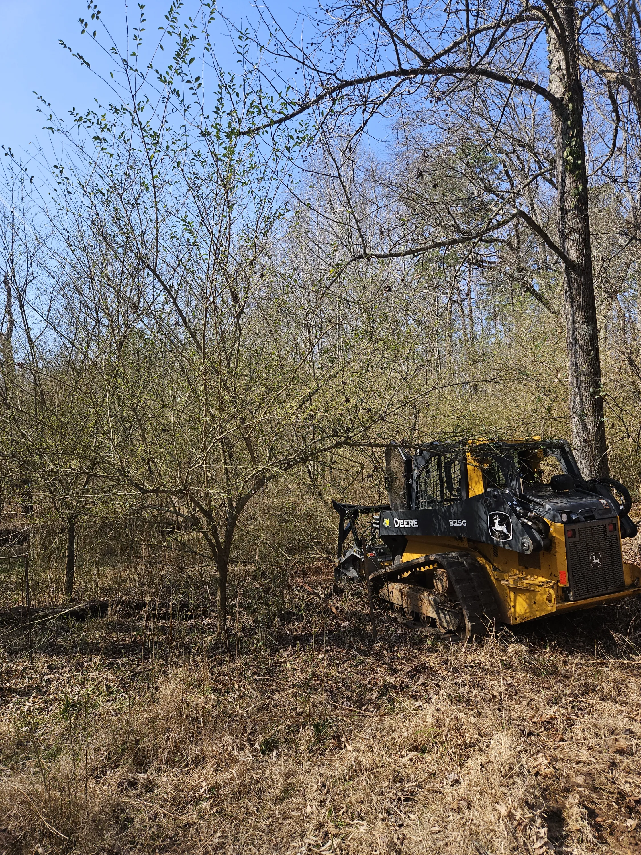 Fisher's Forestry John Deere 325G forestry mulcher positioned in overgrown brush ready to clear 3 acres in Greenville SC